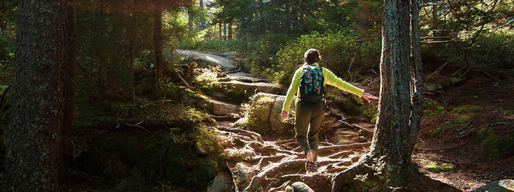 A women stepping over roots while hiking in the woods.