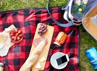 Black and red plaid picnic blanket with wooden board with cheese and bread.