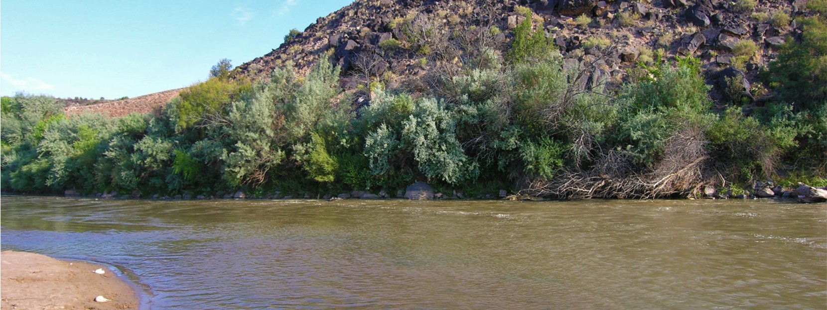 Middle Rio Grande, New Mexico.