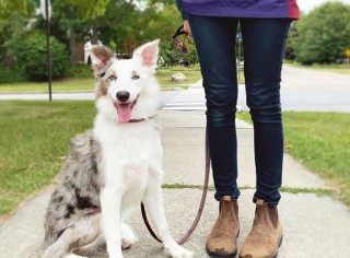 Woman standing with her dog outside.