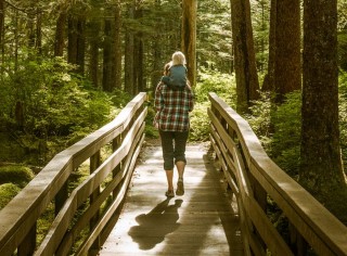 An adult walking across a footbridge in the forest with a child on their shoulders.