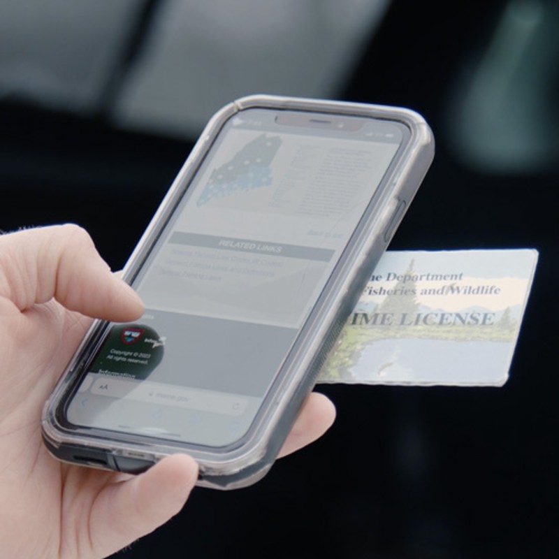 Hand holding a cell-phone and a fishing license.