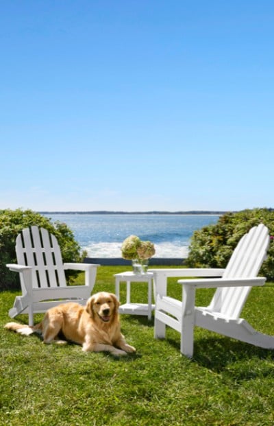 A golden retriever lounges between white chairs on a lawn by the sea, enjoying a sunny day with a serene water view.