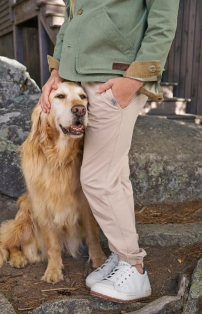 Cropped image of a child in a green jacket and beige pants, gently petting a golden retriever sitting by their side.