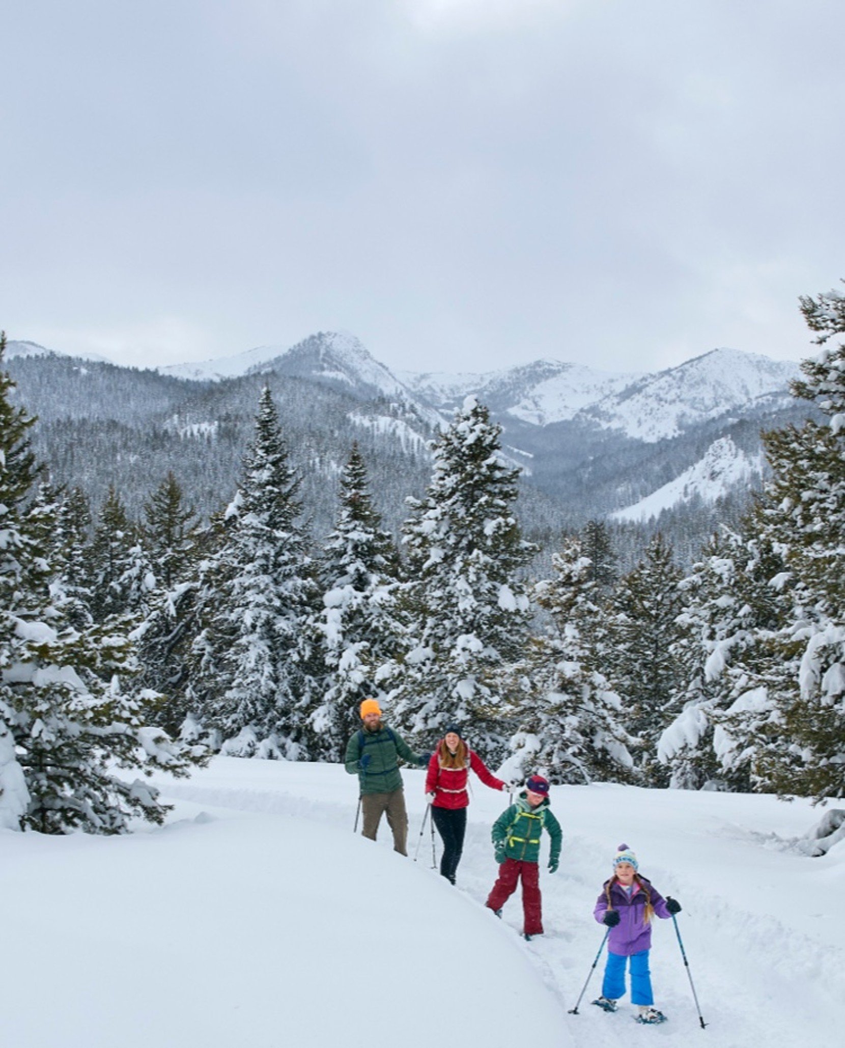 A family of four snowshoeing on a snowy mountain trail surrounded by pine trees, with snow-covered peaks in the distance.