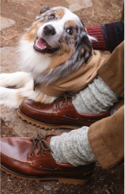 A person with L L Bean socks and shoes sits next to a dog.