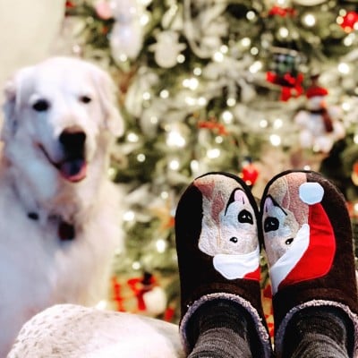Dog motif scuff slippers on propped feet, a dog and holiday tree in the background.