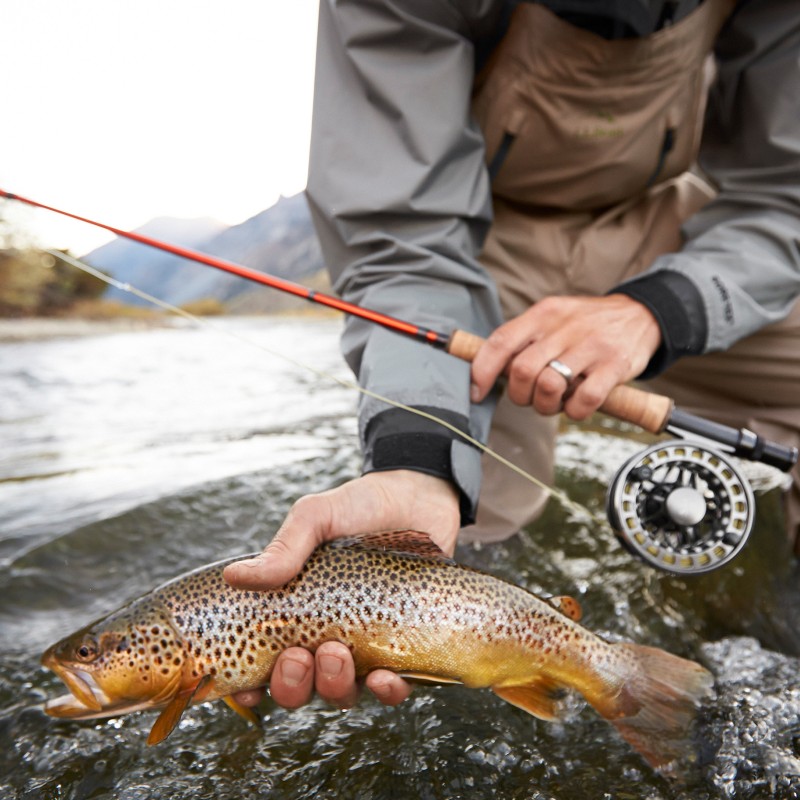 Person holding fish above the water in right hand and fishing rod in left hand.