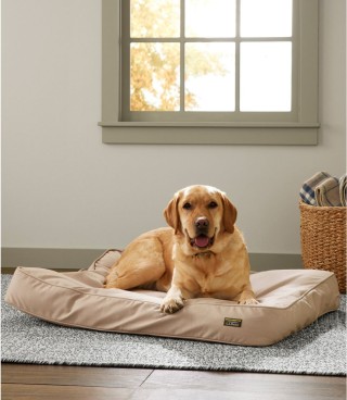 A dog on a L.L.Bean Dog Bed.