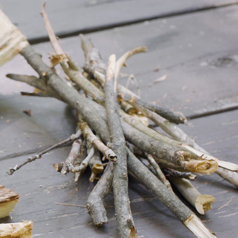 A small pile of twigs.