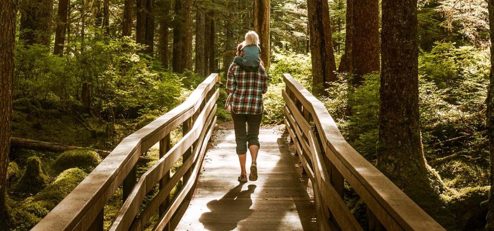 An adult with a child on their shoulders walking across a footbridge in the forest.