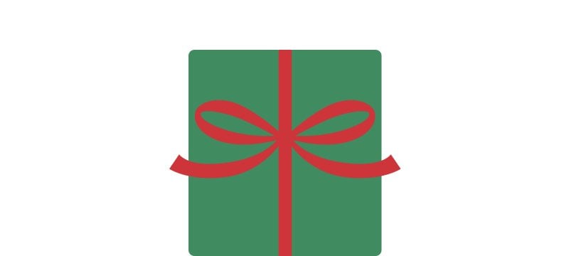 Green L L Bean Present with Red Ribbon.