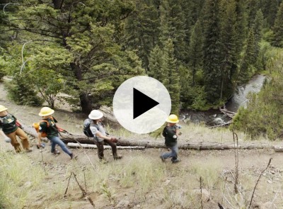 Aerial view of young people doing trail work.