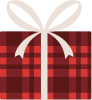 holiday wrapped gift