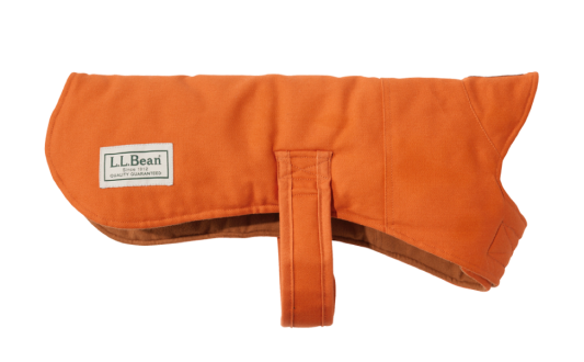 Blaze Orange Field Coat for dogs.