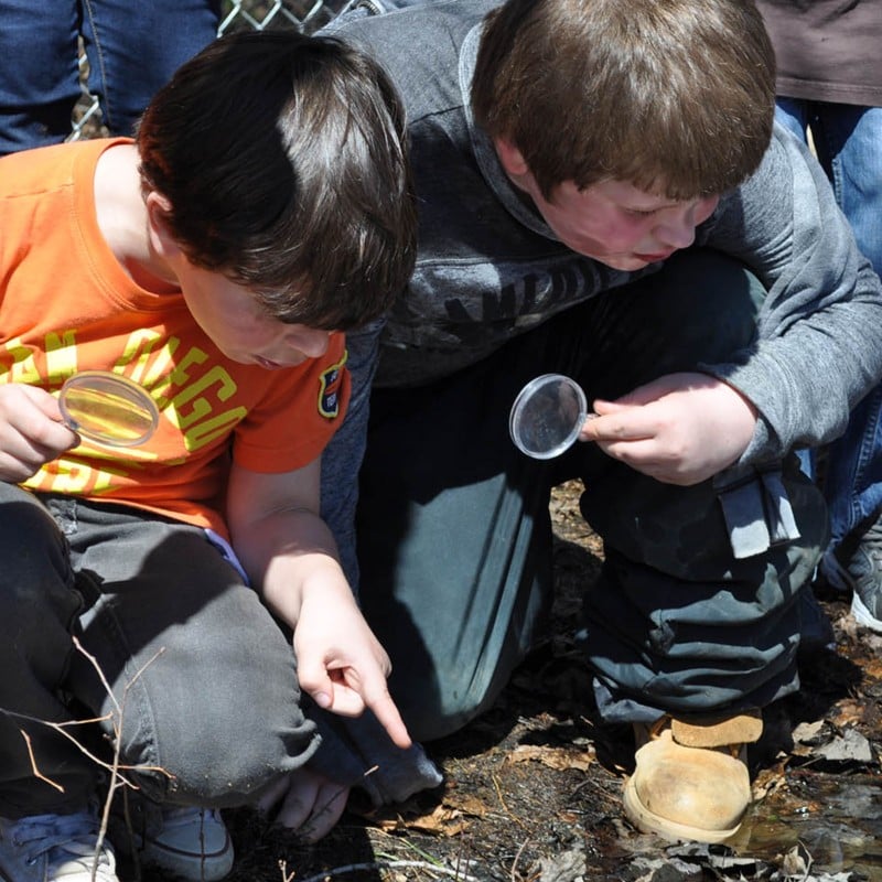 Children examining bugs on the forest floor.